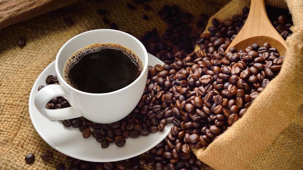 The Journey of a Bean: From Australian Farms to Your Cup