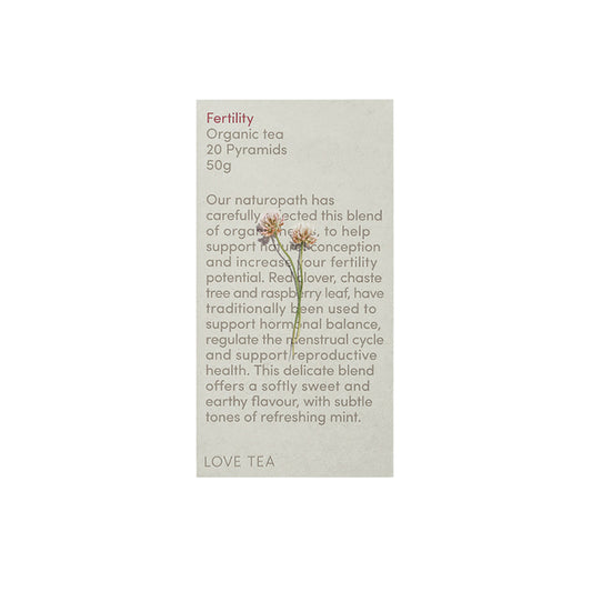 LOVE TEA Organic Ginger Tea x 20 Pyramids